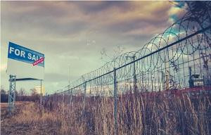 Contamination Assessment Sydney: The Bottom Line 