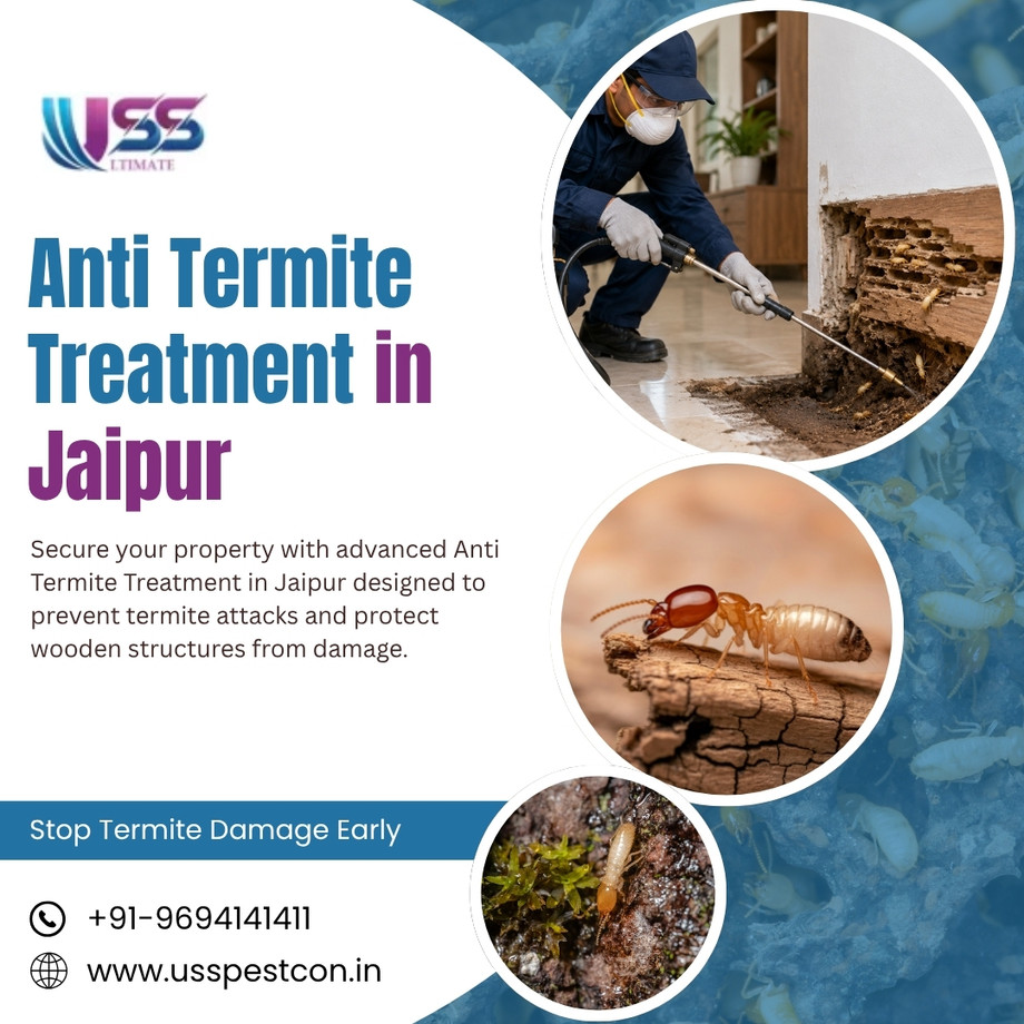 antitermitetreatmentinjaipur.jpg