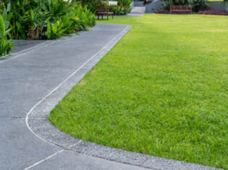 paved-path-winding-around-a-beautiful-green-lawn.png