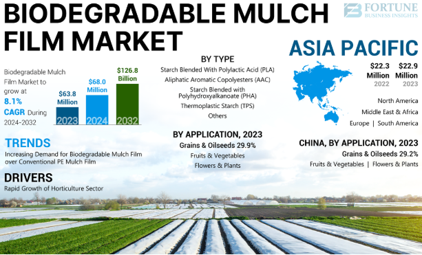biodigradablemulchfilmmarket.PNG