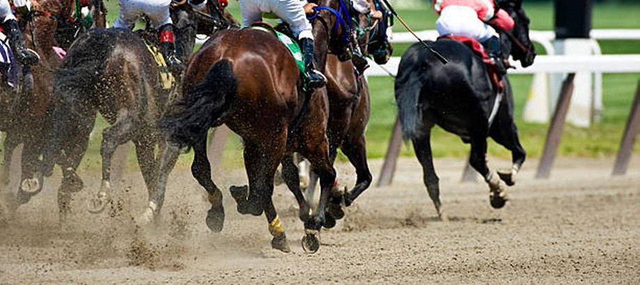 horseracingbettingoddsinsingapore.jpg