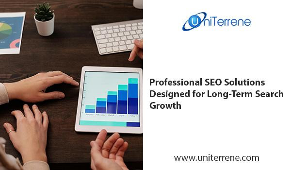 professionalseosolutionsdesignedforlongtermsearchgrowth.JPG
