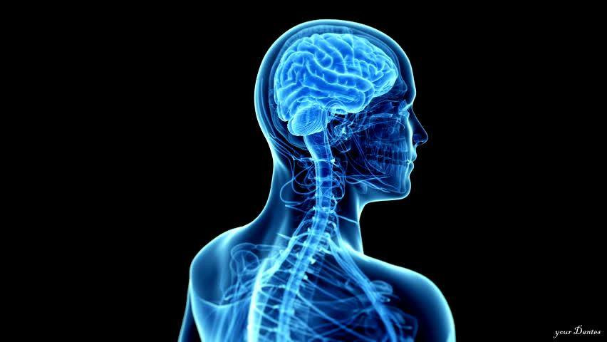 worldbraincenterindia.jpg