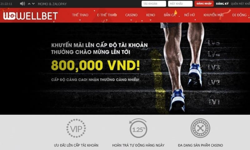 wellbet1.jpg