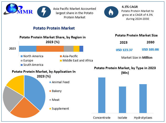 potatoproteinmarket11.png