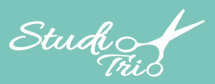 studiotriohairsalonslogo.jpg
