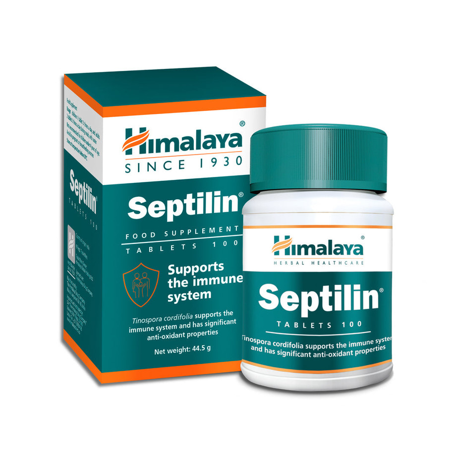 septilin20241.jpg