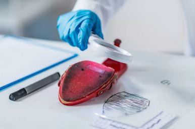 forensicsequipment.JPG