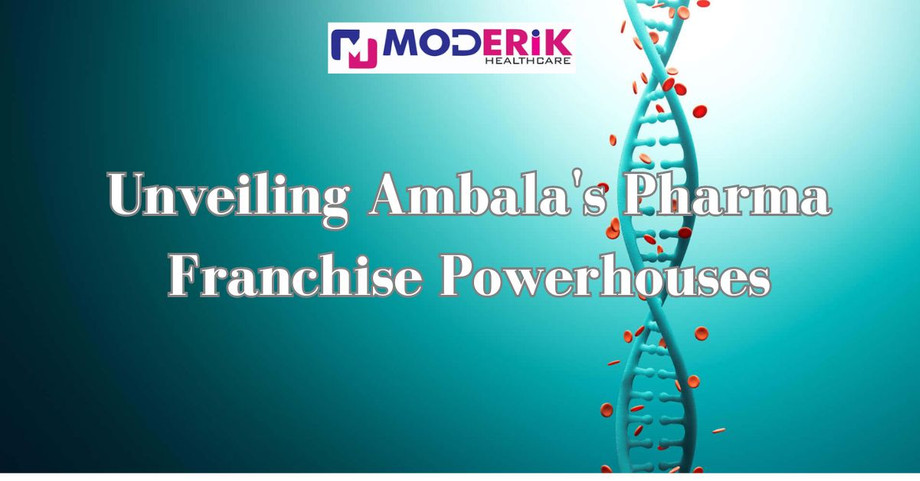 ambalaspcdpharmafranchiseleaders4.jpg