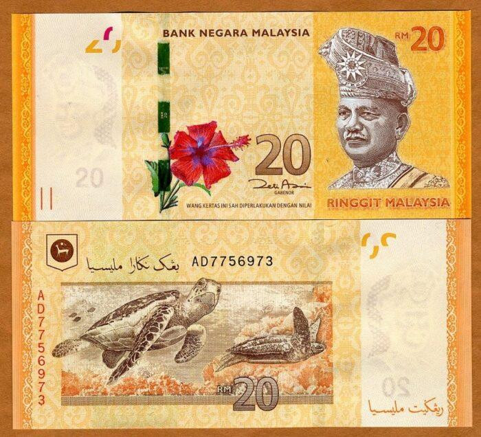 rm20.jpg