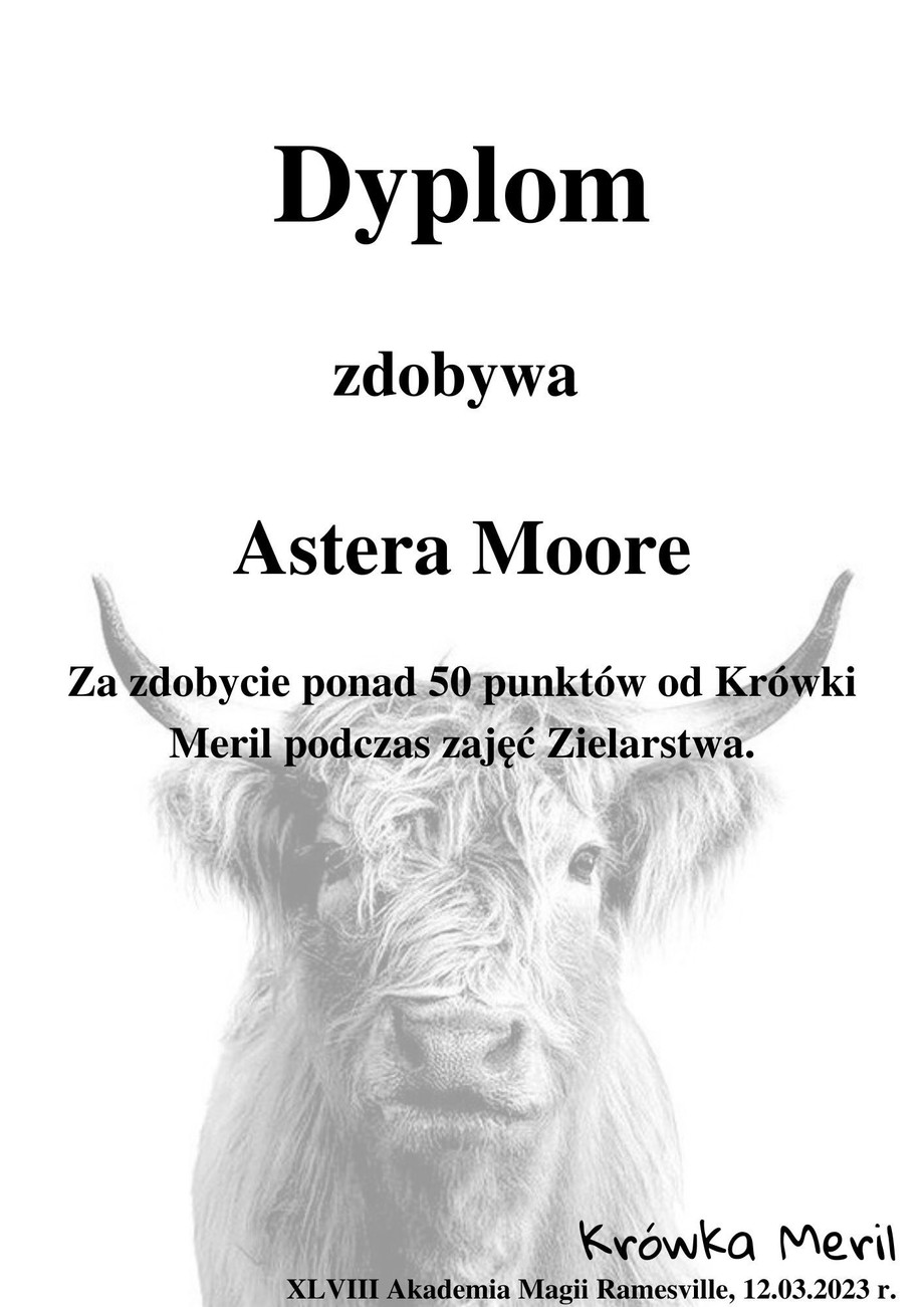 astera.jpg