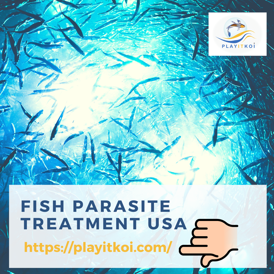 fishparasitetreatmentusa.png