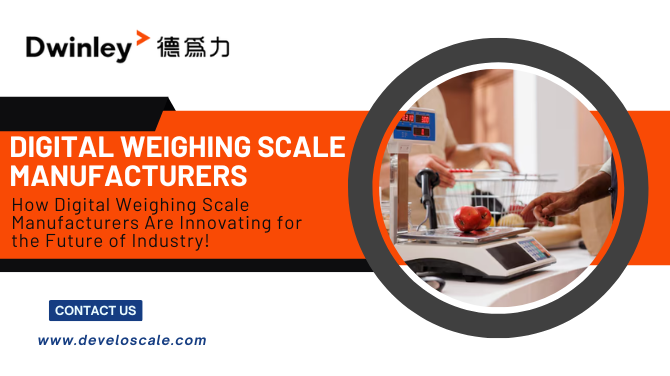 digitalweighingscalemanufacturers.png