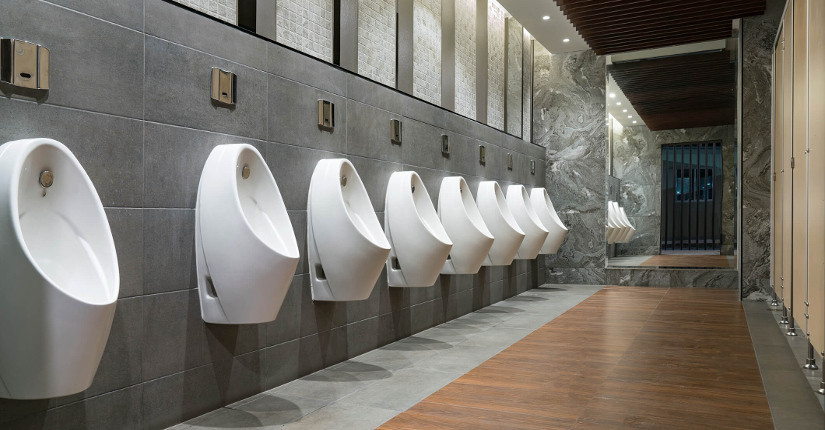 thestoryofautomatictoiletsandmore.jpg