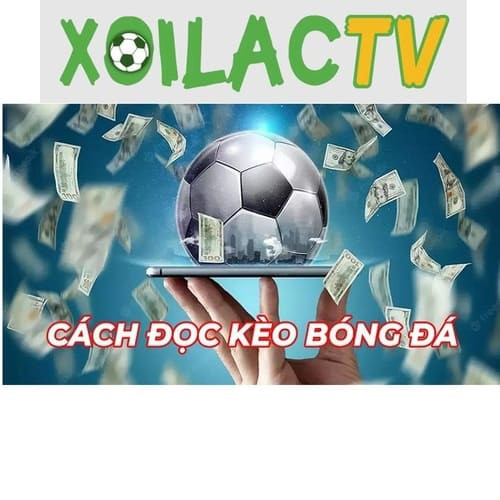 acachdockeobongda500.jpg