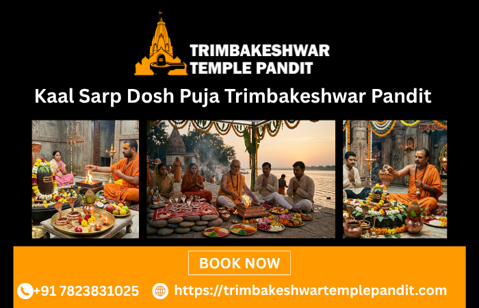 kaalsarpdoshpujatrimbakeshwarpandit.png