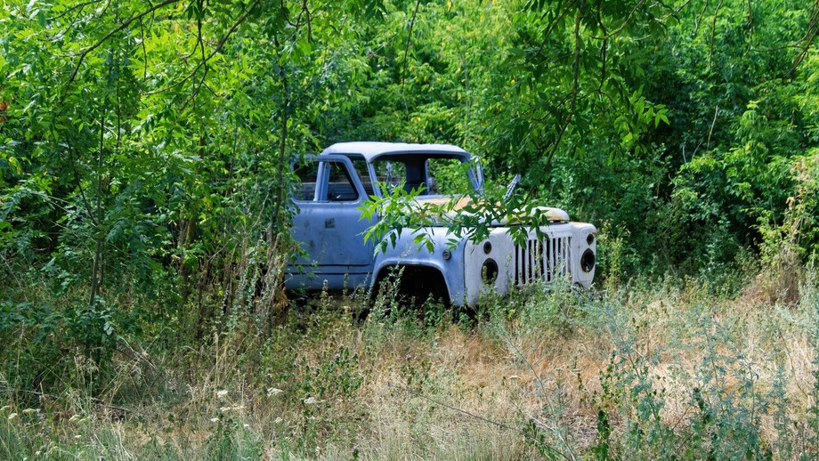 imgi_8_oldabandonedbluetruckwithopeneddoorsforest_126815651.jpeg