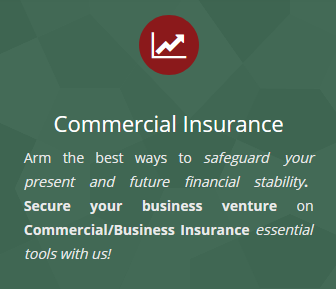 commercialinsurancenaplesfl.PNG