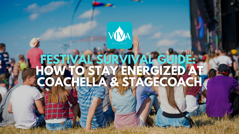 Festival Survival Guide: How t