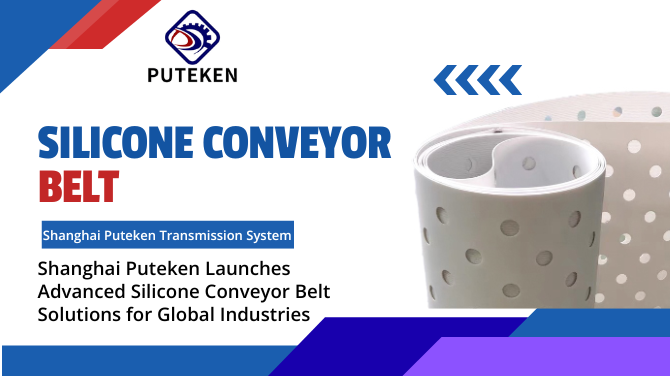 siliconeconveyorbelt.png