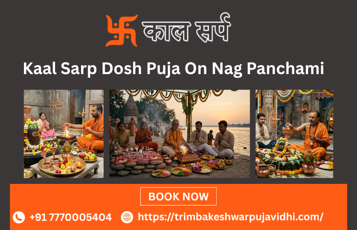 kaalsarpdoshpujaonnagpanchami.png