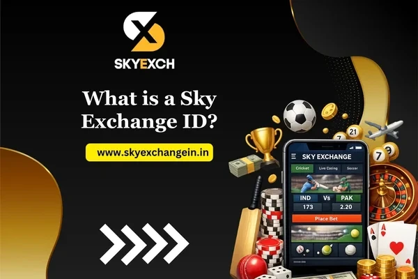 whatisaskyexchangeid.webp