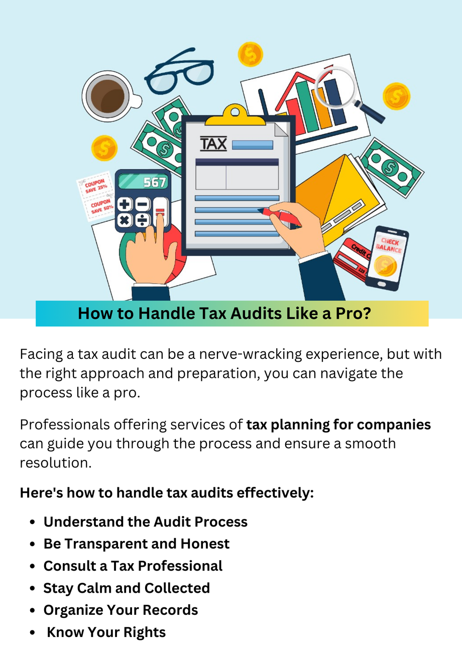 howtohandletaxauditslikeapro.png