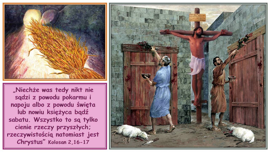 pl_vm2026t110.jpg