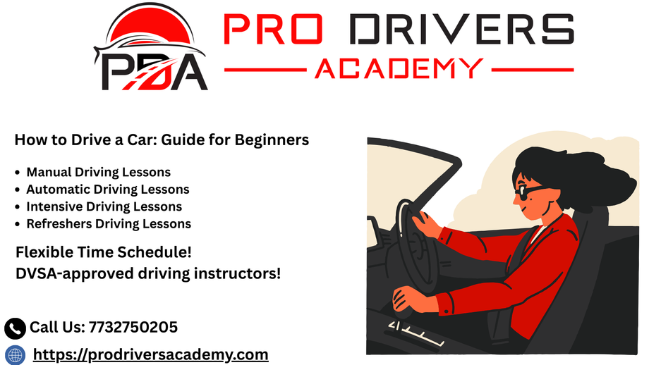 howtodriveacarguideforbeginners.png