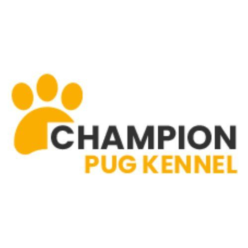 championpugkennels.jpg